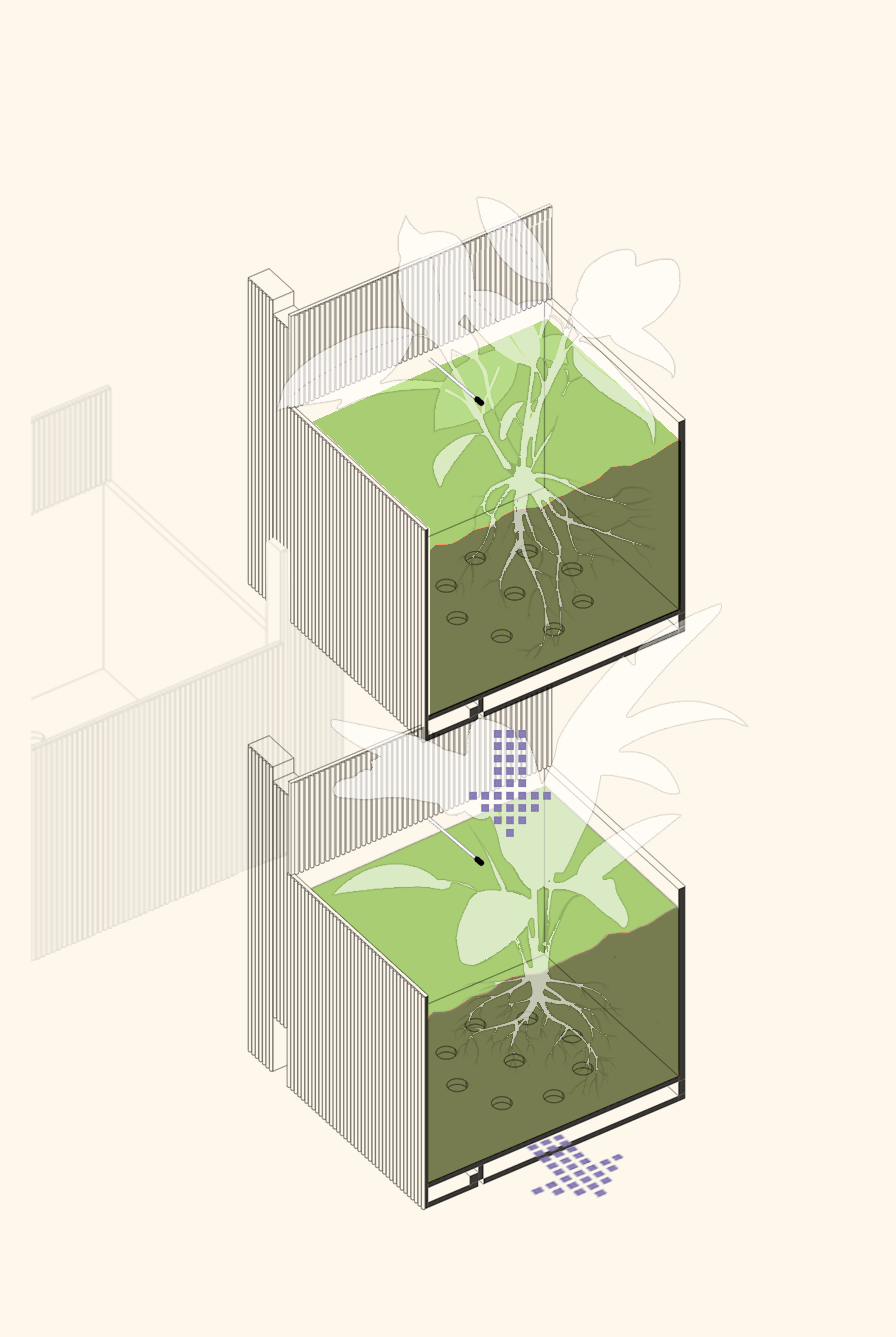 Imagen Respeto por la planta